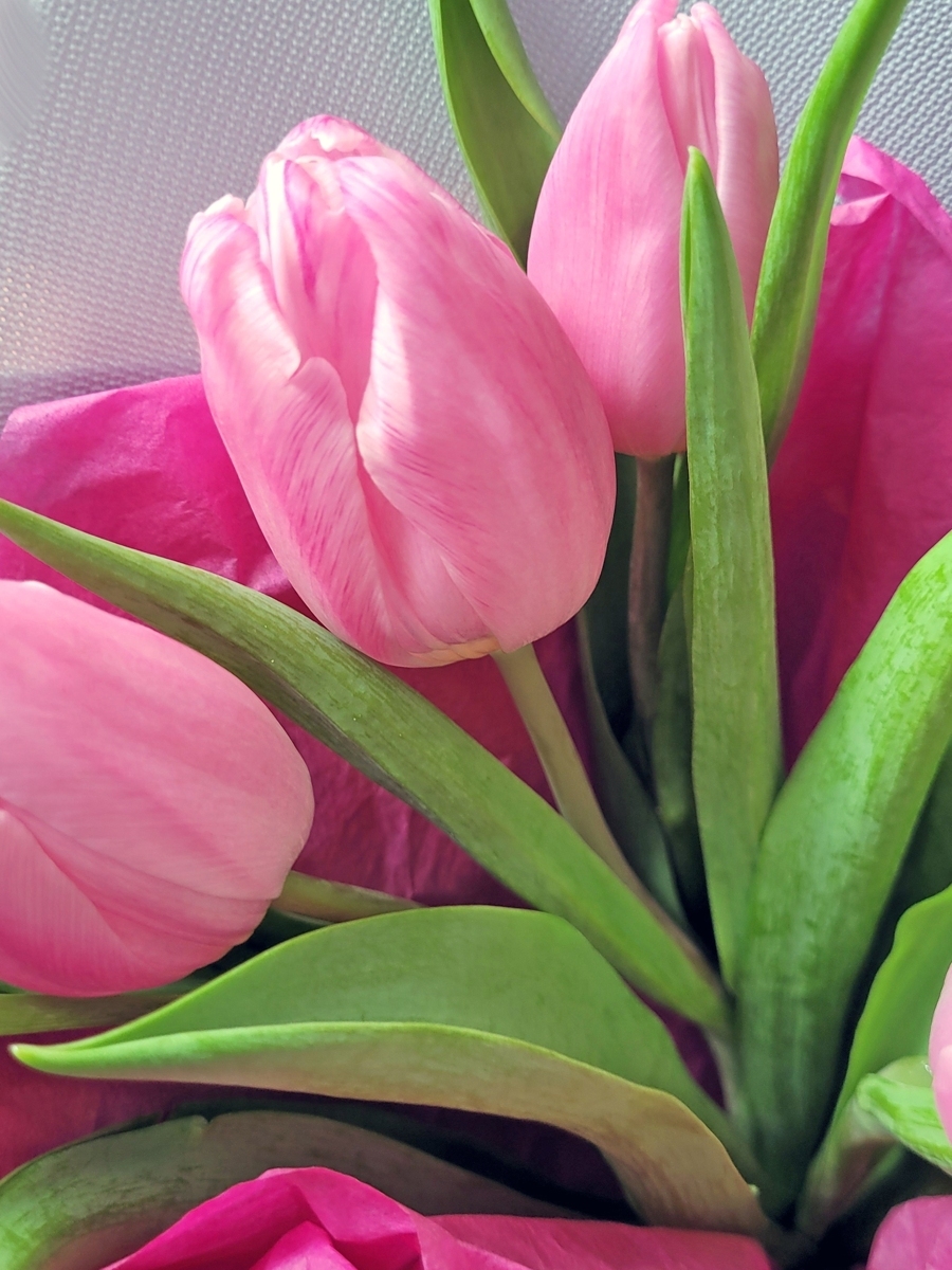 Букет «Любовное письмо Pink»